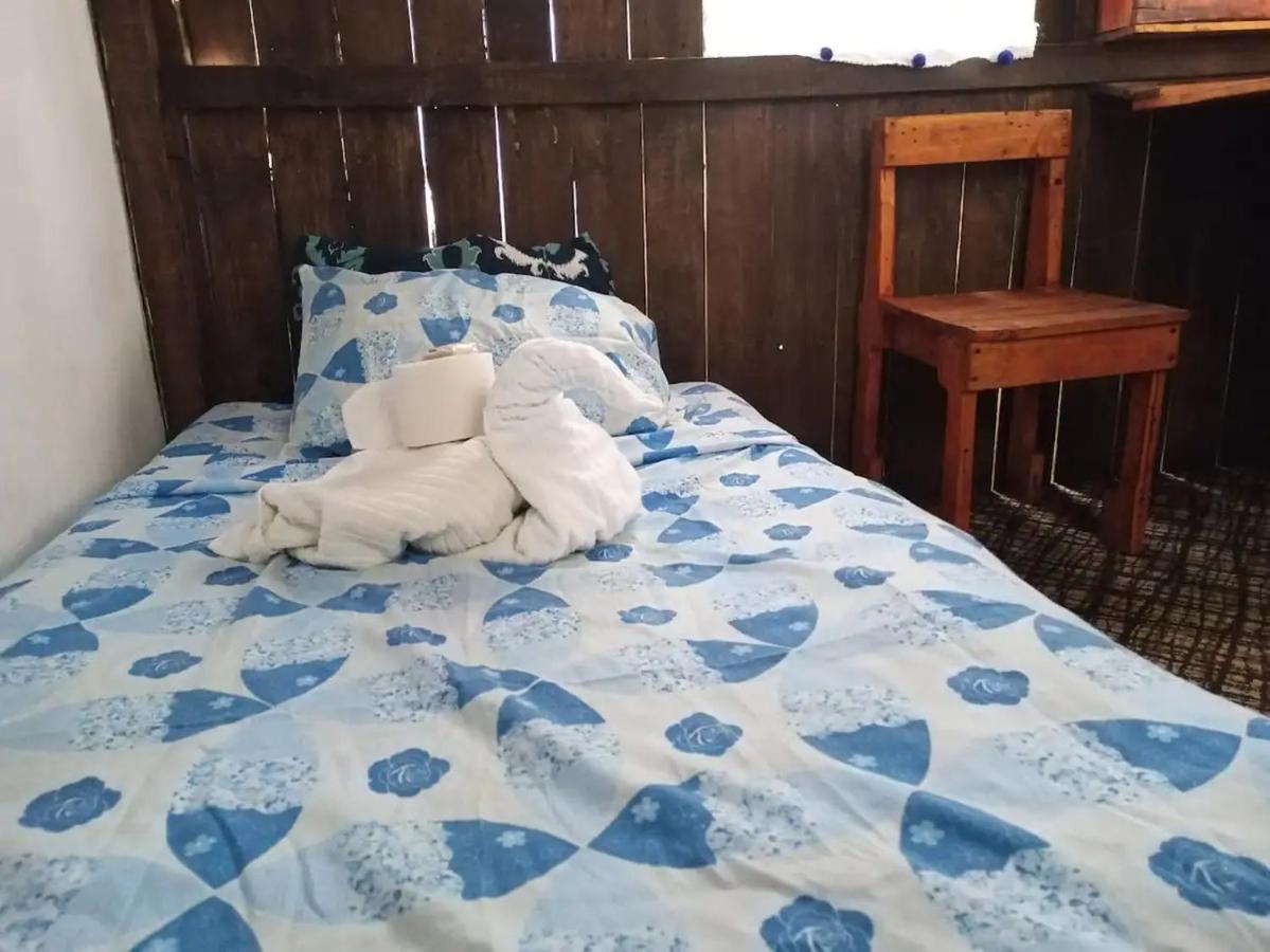 Homestay Sustainable Cabain