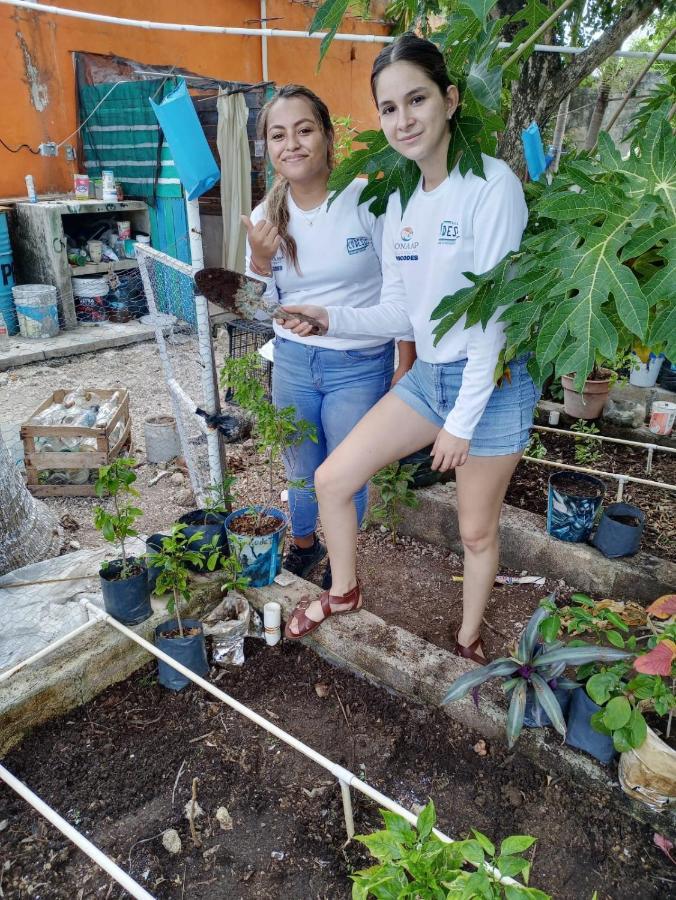 Sustainable Cabain * Cozumel