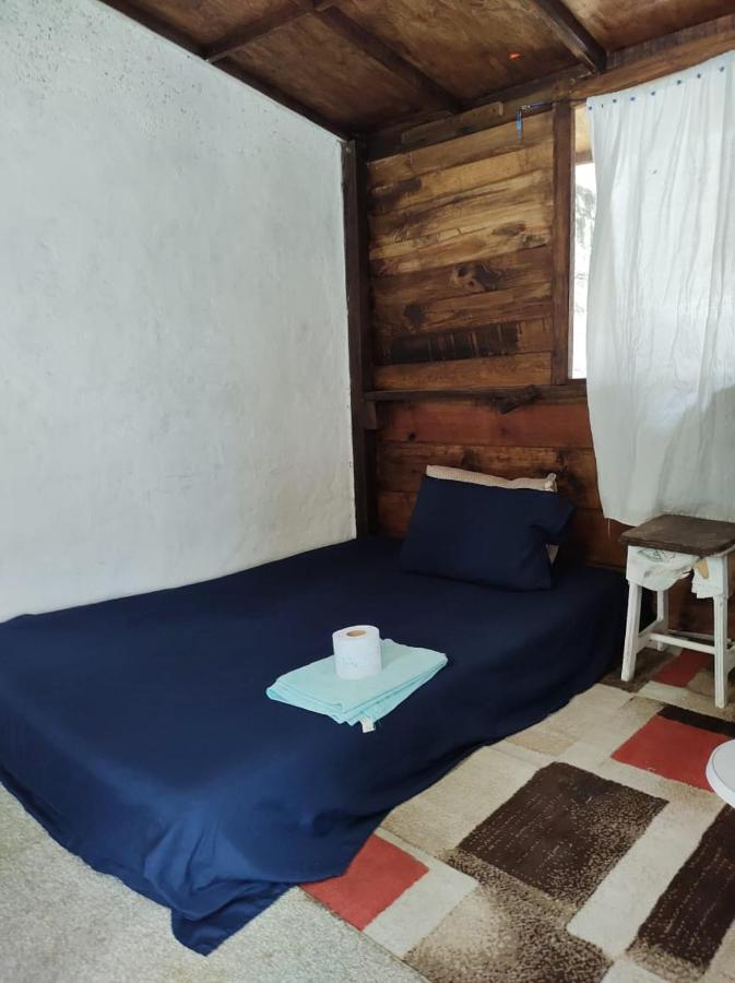 Homestay Sustainable Cabain