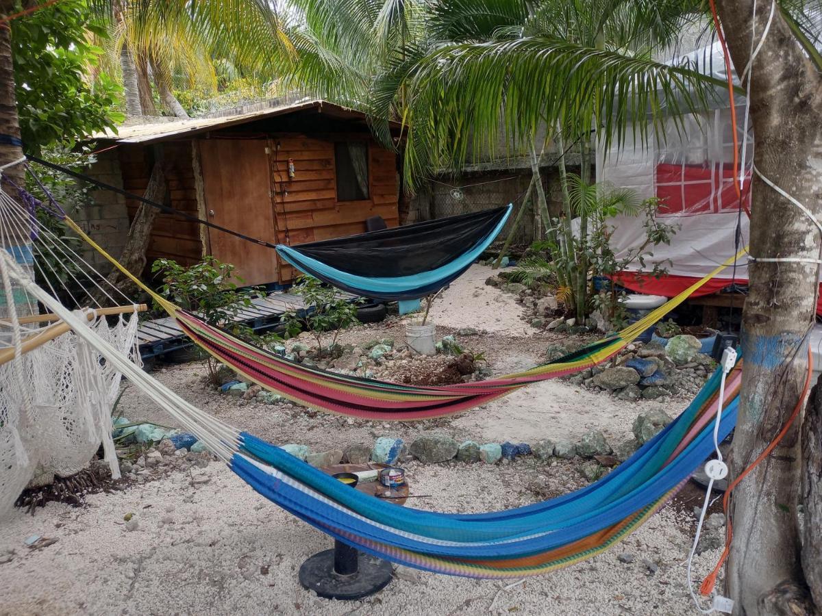 Sustainable Cabain Homestay Cozumel