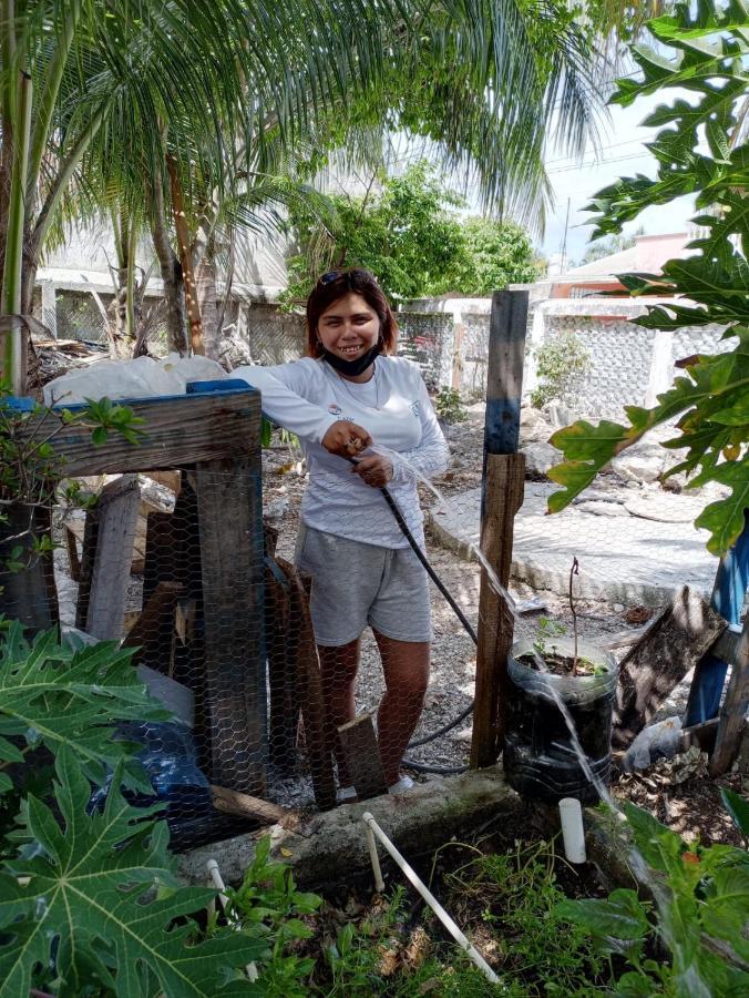 Sustainable Cabain Hospedagem domiciliar